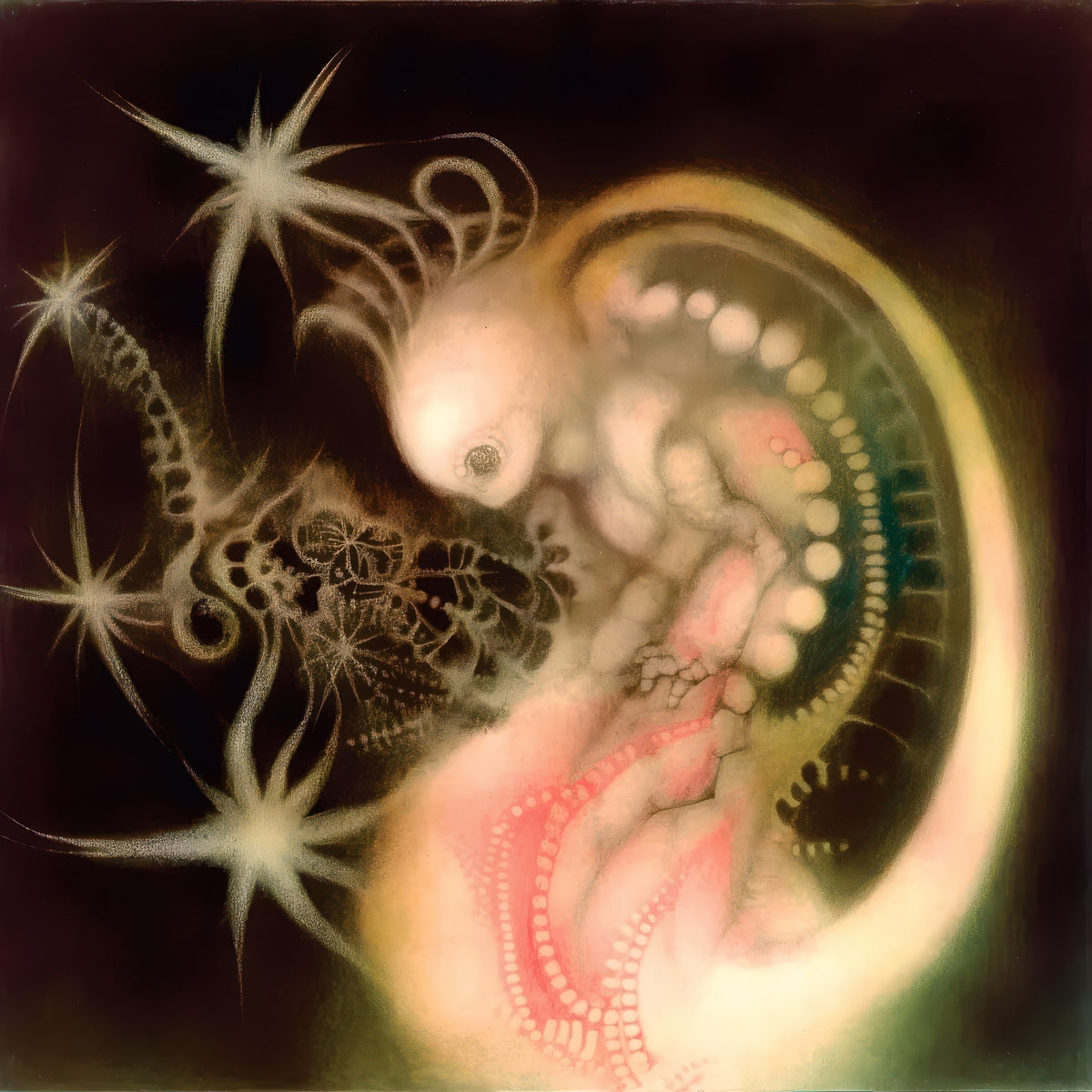 Embryo — art poster by iwhiteplant